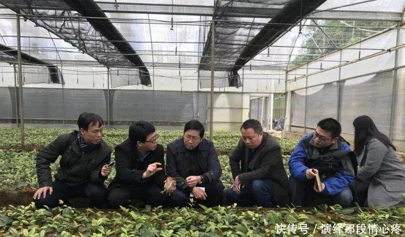 李时珍一辈子没找到的花，广西贫困户种它发大财！