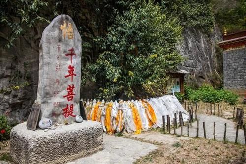 云南一棵3千年菩提树,一夜之间长出“佛手”,游客排队来看