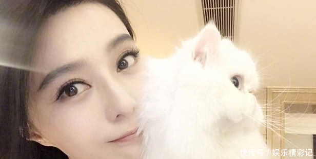 一线女星被造谣后怎么维权,范爷的处理方式最霸气!