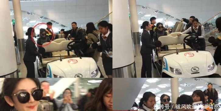 网曝谢娜产后最新动向，她用马兰坡英语回击造谣者