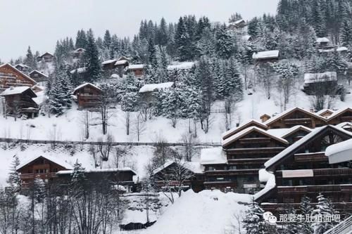 全球滑者都向往的阿尔卑斯到底有多美？