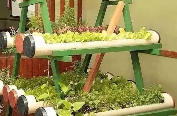  #时间#自从迷上养花，我成了一个捡垃圾的...