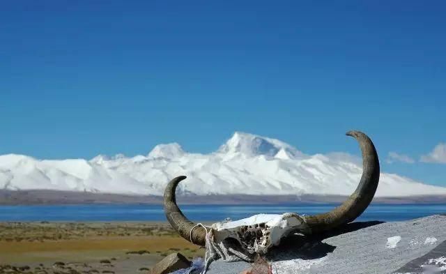 『青海』青海39个之最,不但在全国出名了,还有这么多世界级....