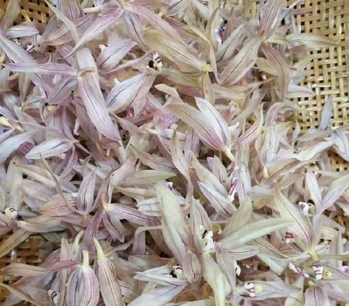  【喜欢养兰】养几盆兰花，收少许花瓣，泡几杯兰花茶，生活就该这么简单