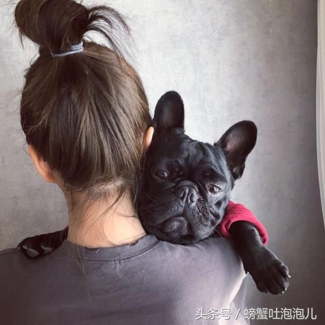 网红踢打孕妇致高危，网红追求公众效应，却不愿带起正能量的标签