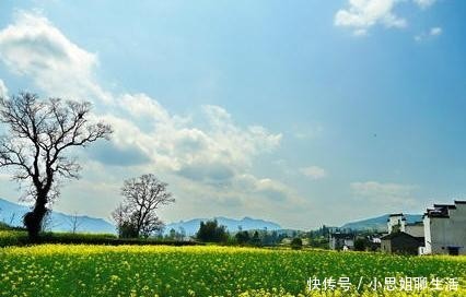  「艺术效果」杜甫的一首杂诗，颔联采用加倍写法，诗圣水平确实高超