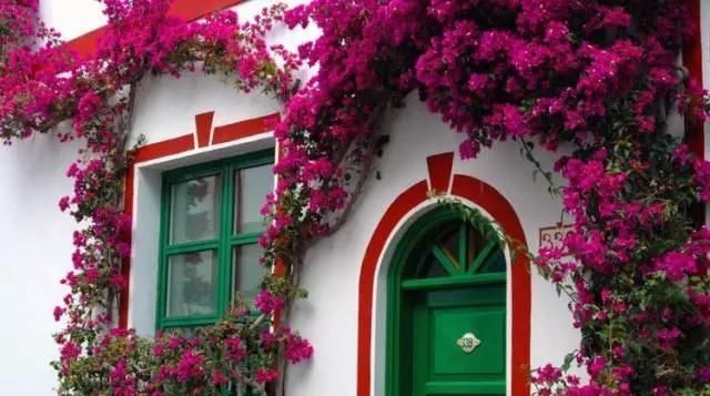 围观欧洲庭院，生活明朗，万物可爱