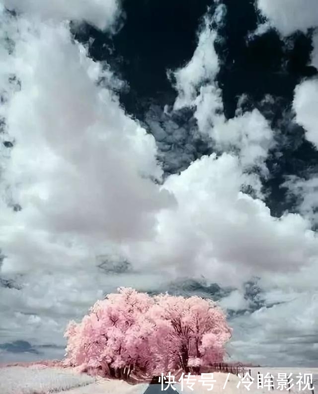 一组顶级照片,大开眼界!给大家欣赏欣赏