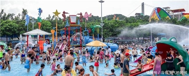 广东出现暑假第一波旅游热潮，佛山盈香生态园两天迎客逾2万