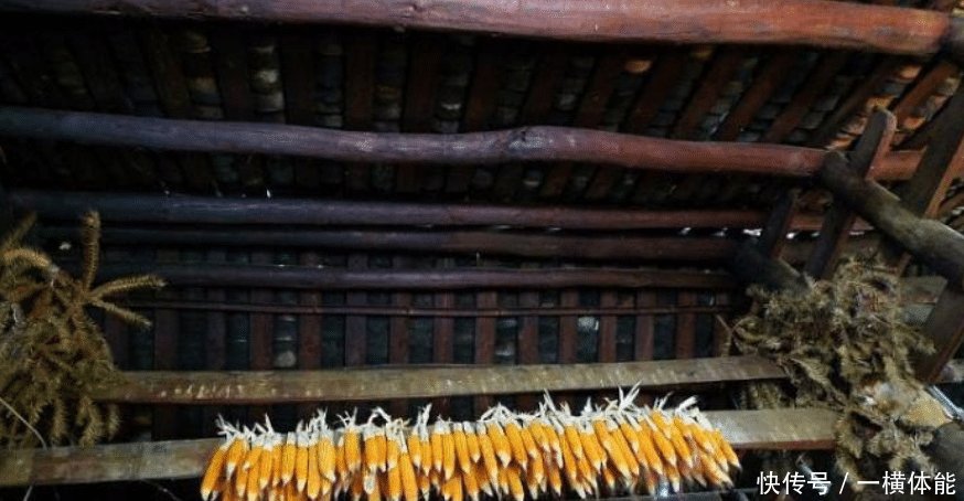 近些年，时不时有人到农村高价收购房梁，用来干啥看完才知猫腻