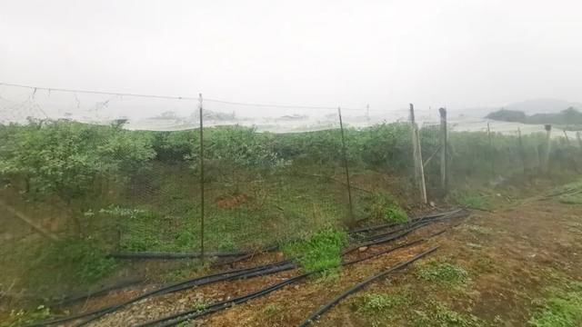  #旅游度假区#春游到南充，安逸得ban