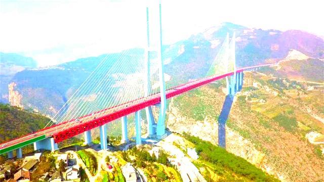 世界“最特别”的大桥,不为人修建,而是为了这4500万只螃蟹