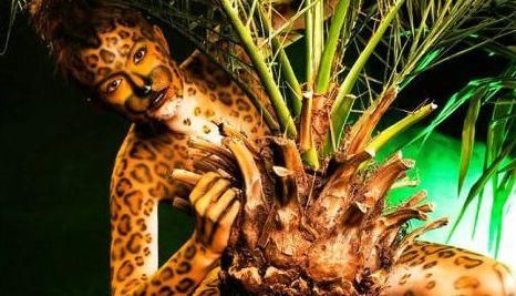 每张图中都“藏”有美女：智商高的人找出四张，找出五张要海军！