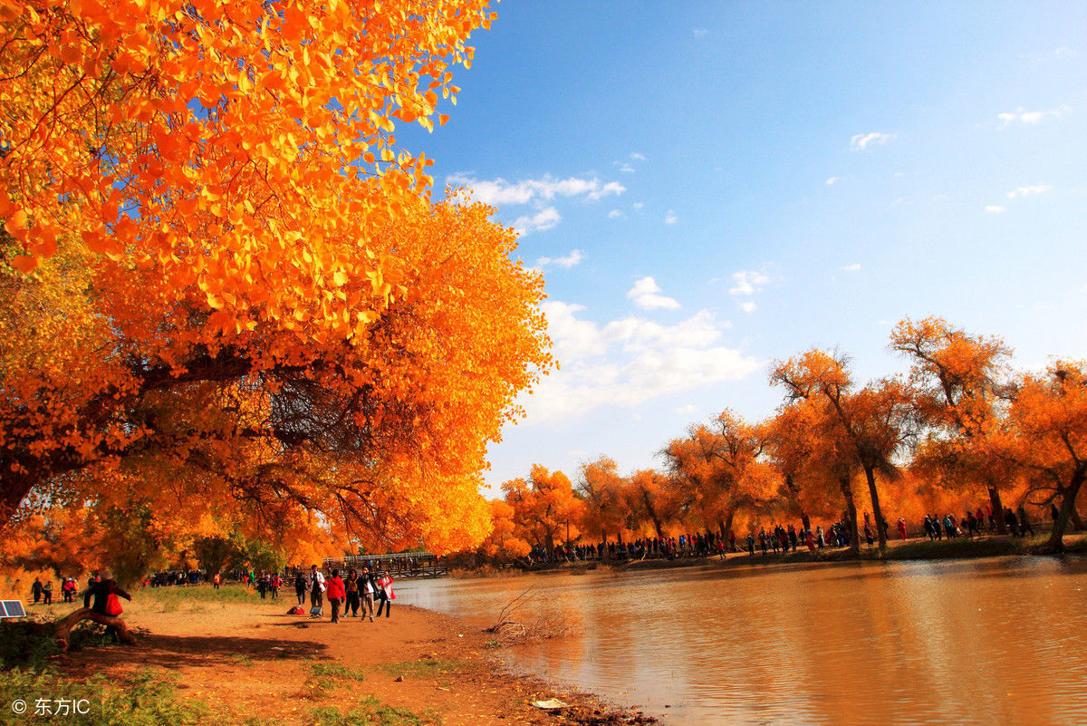 如此美妙的秋景，你若在，该有多好