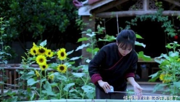 李子柒是怎么能红的