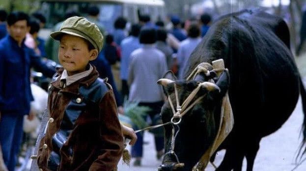 老照片：1984年河南洛阳，百姓生活朴实，为何如今乌烟瘴气！