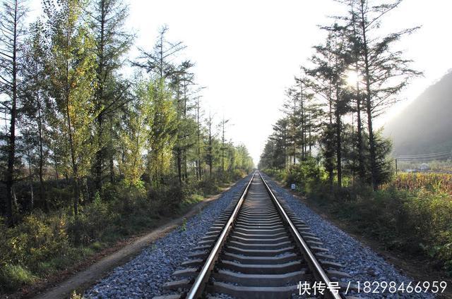  字头@动车和高铁有什么区别