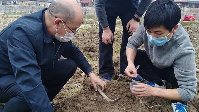  「蝗虫」已经入侵六城，比蝗虫更急的虫害来了，农民们早早准备下列农药