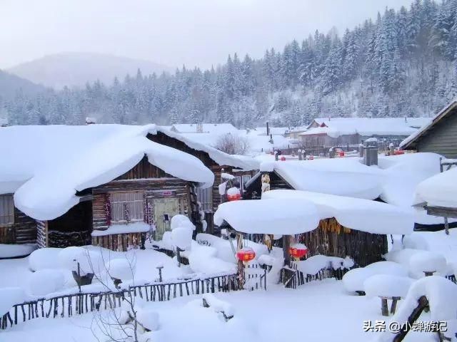 雪乡冰清玉洁的童话世界仿佛置身于《绿野仙踪》里北风女神的宫殿