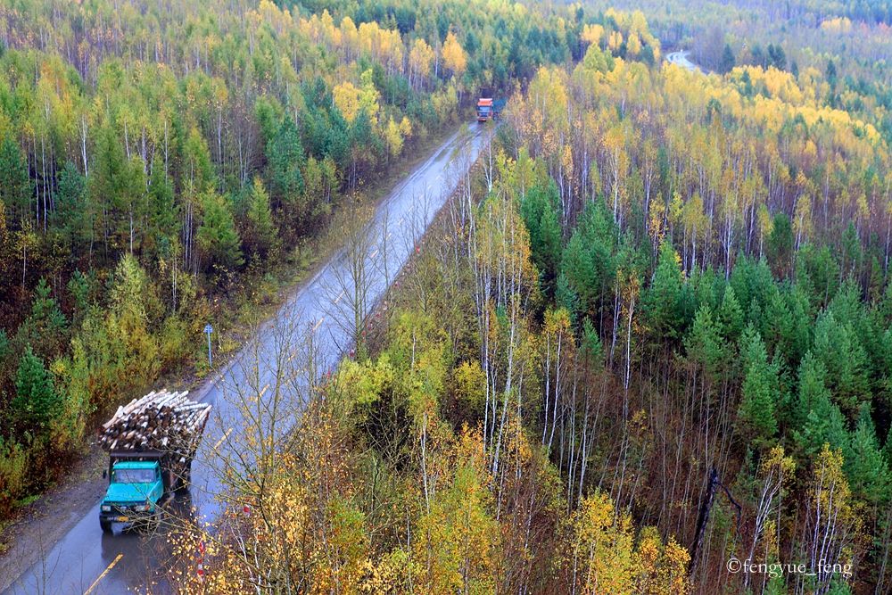 大兴安岭特大火灾澳洲火灾