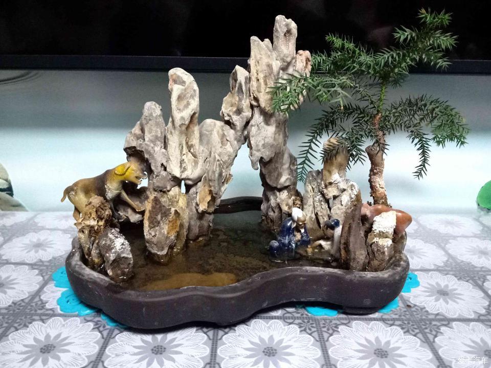 小山水盆景里的大千世界