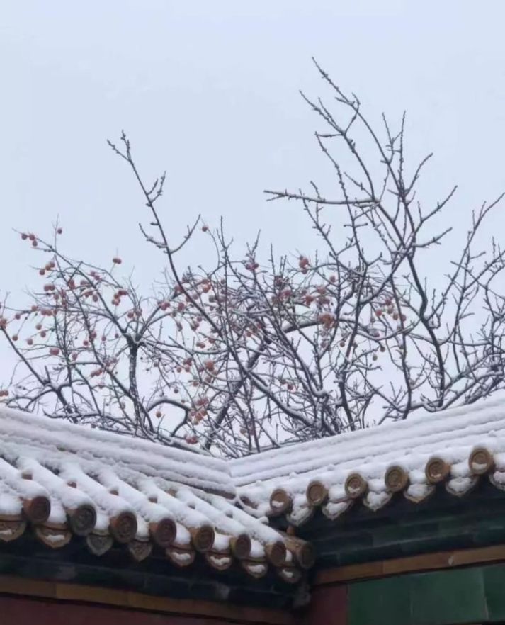 初雪后的北京美翻了! 故宫8万门票售罄, 游客景山“扎堆”赏雪