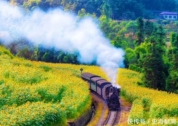 国内“最贵”的火车票,仅19公里就要100元,却仍一票难求
