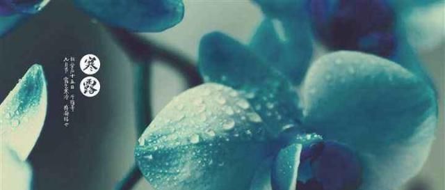 寒露节气，秋意正浓