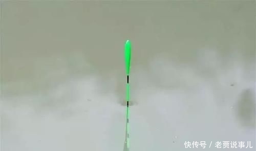  「野外水域」为何野钓没大鱼，不是大鱼没进窝，是开始调漂就出了问题