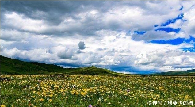 当年红军走过的草地，如今变成什么样了？看到照片让人大开眼界