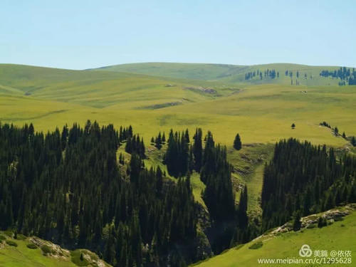 醉在托乎拉苏草原上