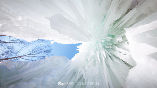 到了这里，我才更懂冬天