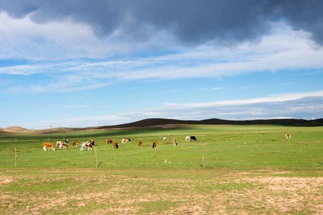 中国5个“最心酸”省会，被旁边小弟赶超，最后一个还只排第三