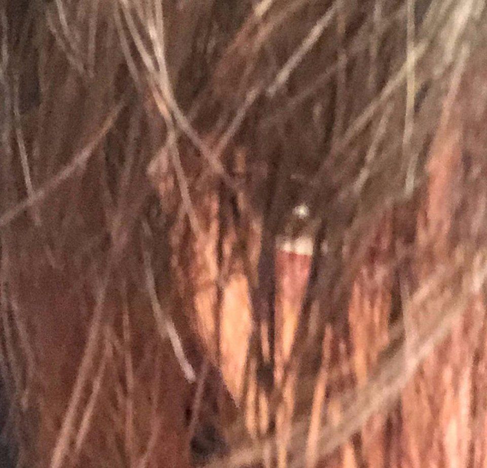 TFBOYS被激光射伤眼睛为谣言!易烊千玺更新ins亲自澄清