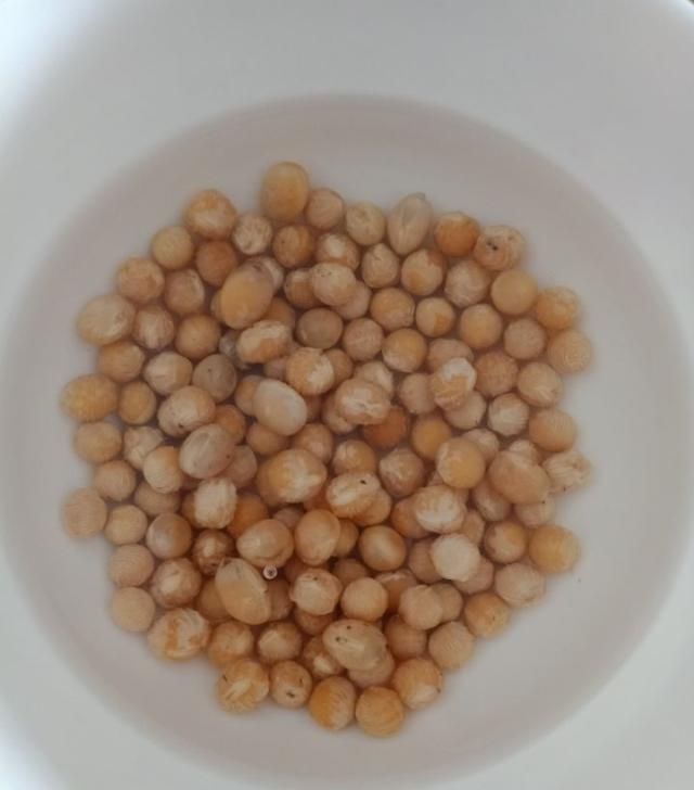  [必不可少]它是天然“黄体酮”，隔三差五吃，皮肤紧致，素颜都很美