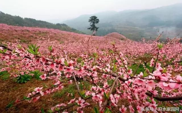 贵州居然要改名了！据说新名字是……