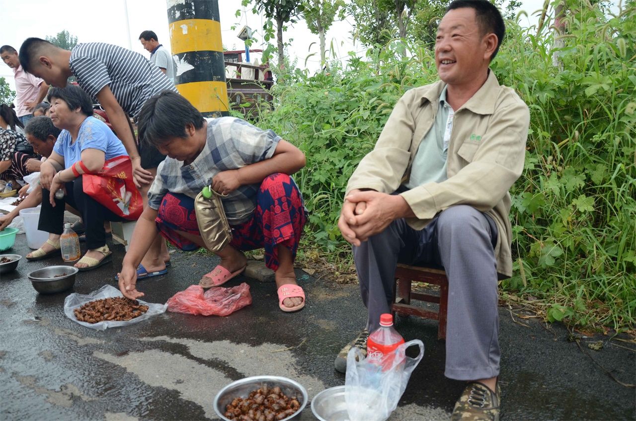 河南农民大叔集市上卖知了猴，一个六毛多钱，一天能卖五千个