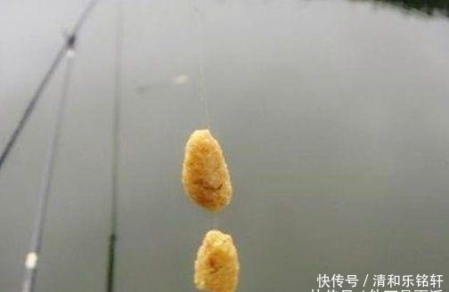 「得当」立秋后鲤鱼并不难钓,主要是方法要得当,这套打窝秘诀教给你
