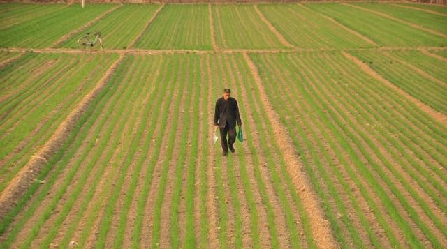  「承包」农户成员死亡的，通过家庭承包取得的土地承包经营权能