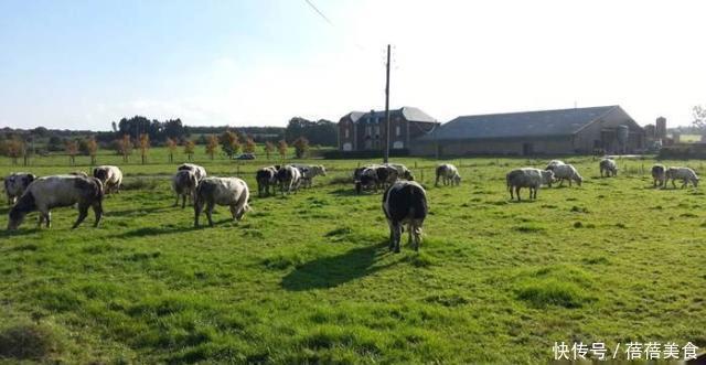 世界上人口最少的城市，注册人口32人，其中15人是当地政府官员！