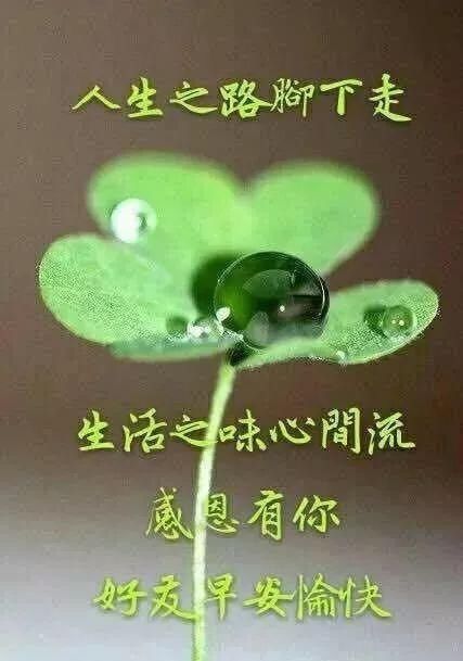  『时光』早安吉祥：时光很宝贵，愿你有诗、有梦、也有远方，早上好！