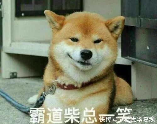 早C晚A■隔离一个月,我只教会了妈妈这条护肤黄金法则