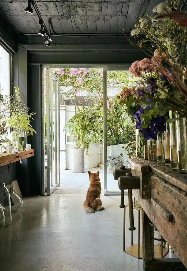  花店@请拖住下巴，全球9间超赞的花店