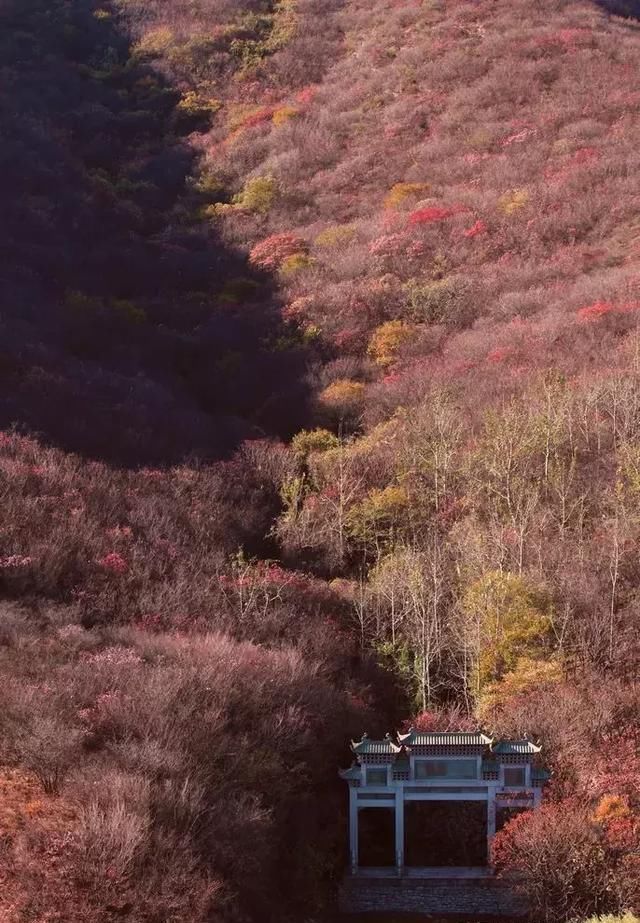 别老想着去日本拍红叶，中国这些地方的红叶也很好看
