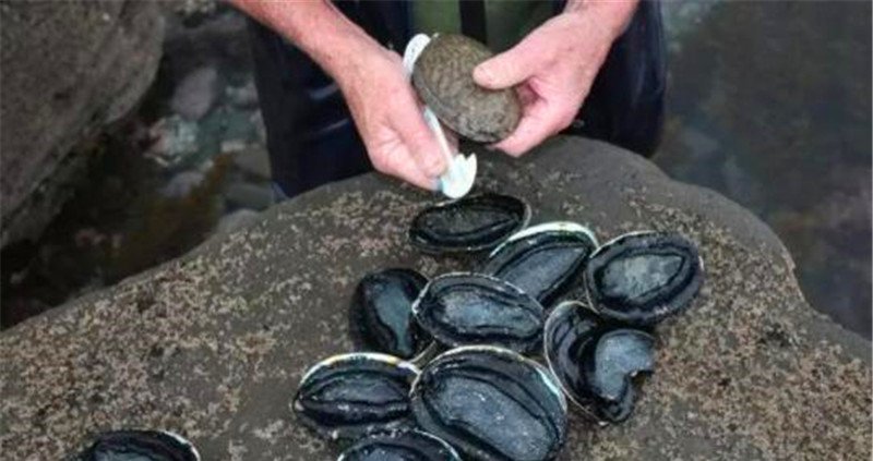 游客海底潜水发现粉红色石头，得知真面目后，才明白是难得宝贝