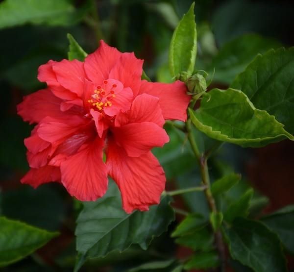  「菠萝蜜」南宁：请打量这夜色