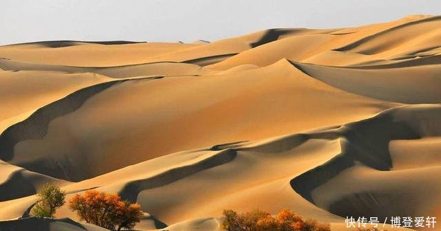 国家在塔克拉玛干沙漠，投资几亿种下大量植物，结果却非常意外