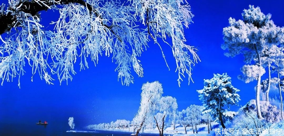 恍若仙境!吉林雾凇今冬首现身!