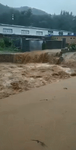 最新消息！台风“利奇马”已致5人死亡！潍坊2人失踪！经济损失60