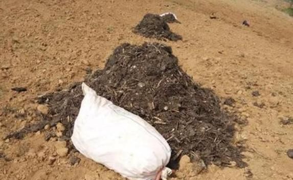  「好处」农家肥料给农作物和土地带来的好处是什么